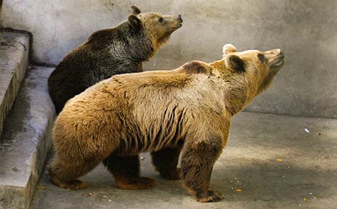 �����(d��ng)�����ܷ��