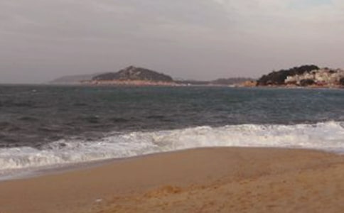 �ΏB�T���ˎZ���ģ�ͨ��24ƪ��