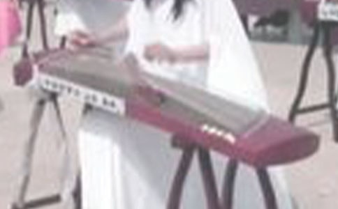 (優(yōu)秀)關(guān)于古箏的作文