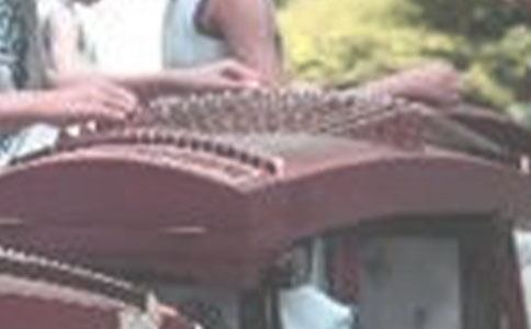 學(xué)習(xí)古箏的苦與樂六年級作文