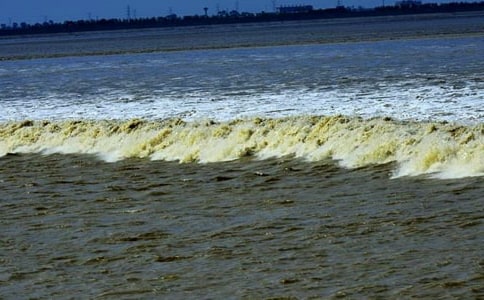 觀潮教案設(shè)計(jì)