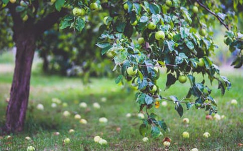 ���@������600��4ƪ