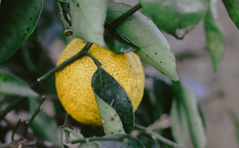 ���@�ҵĘ��@����