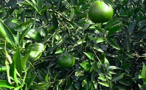 ���@�ڄ�(w��)�ù���ͬ����