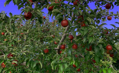 ���@����