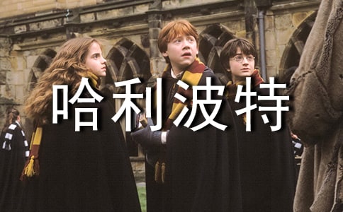 哈利波特的讀后感(集錦15篇)