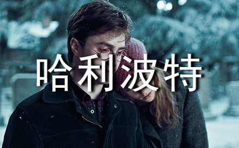 ���������x��С����á�