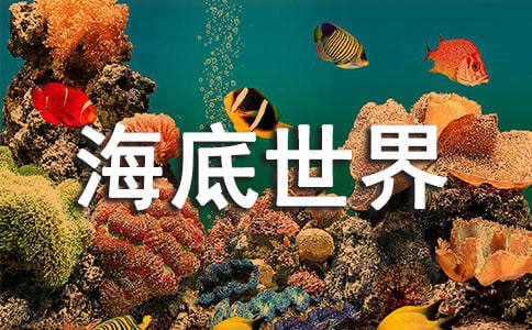 �׃��@�аࡶ�������硷���g�̰�