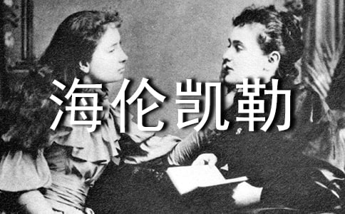 �P(gu��n)�ں����P������