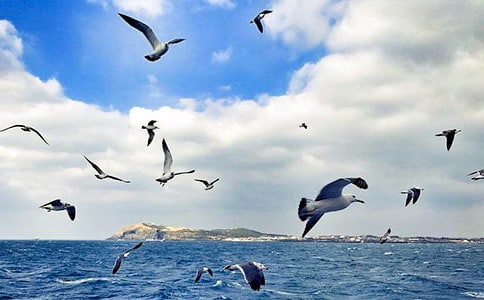 2022�����t�̼{ɭ���x���