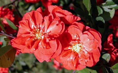 [��]��������500��