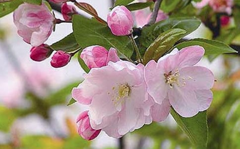 �����ﺣ������