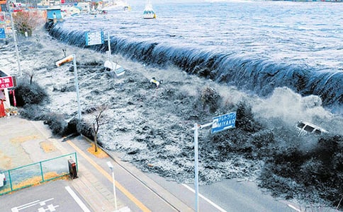 奇怪的海嘯作文