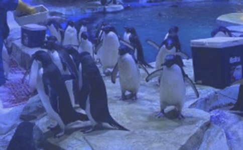 �κ��󹫈@����