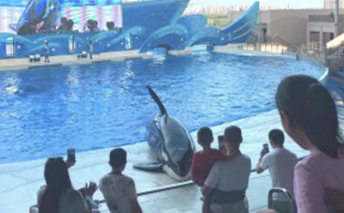 ���󹫈@��ӛ