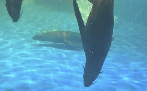 �κ��󹫈@����