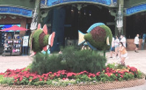 暑假游記大連老虎灘海洋公園作文