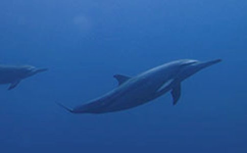 �������������