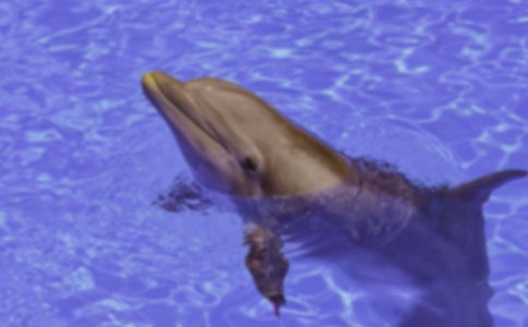 ���{(l��n)ɫ�ĺ����u���x���1000��