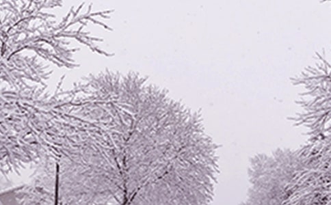 寧夏冬季寒潮天氣過程對比分析