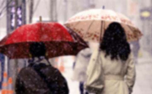 寒潮來了作文范文(精選18篇)