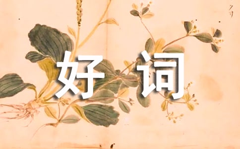 描寫樹木的好詞佳句精彩段落作文