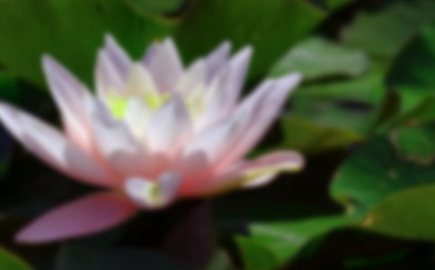 �P�ںɻ�����(����15ƪ)