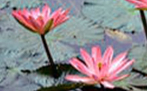 �а����g(sh��)�ɻ��̰������x15ƪ��