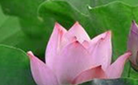 �P(gu��n)�ںɻ����ġ��᡿