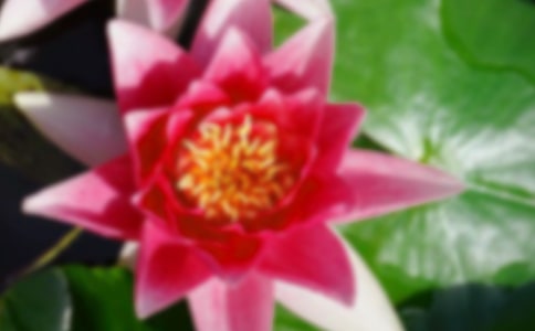 �x���ɻ����и�