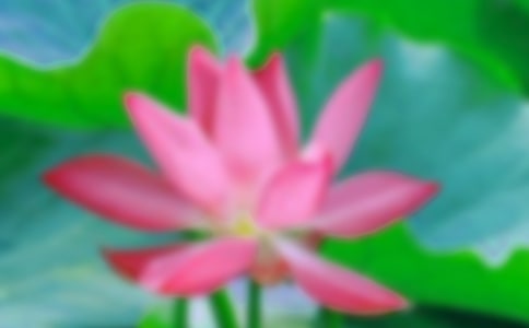 ���^�ɻ�������