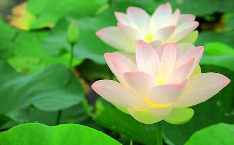 �ɻ����^����ӛ15ƪ