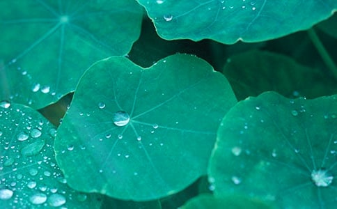 6�����~ ĸ�H���̌W(xu��)��˼