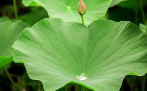 �P(gu��n)�ں��~�����ķ���(3ƪ)