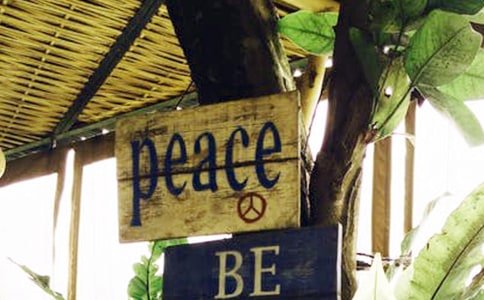 和平,對(duì)我們來(lái)說(shuō)又意味著什么作文