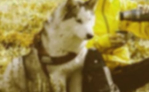 【精品】和諧的作文錦集六篇