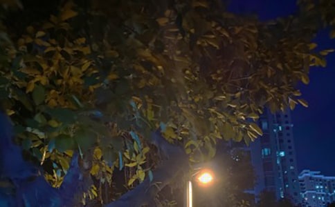 ҫ�۵ĺ�ҹ����