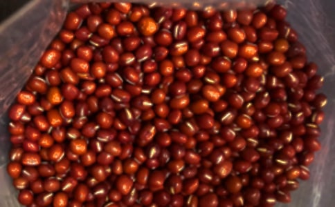 [�؂�]�t�����L(zh��ng)ӛ�С�W(xu��)������300��