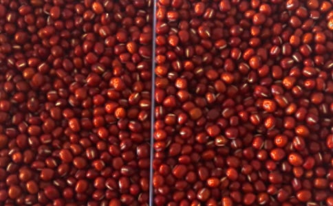 ޲�׼t��������ܳ��Ȇ�