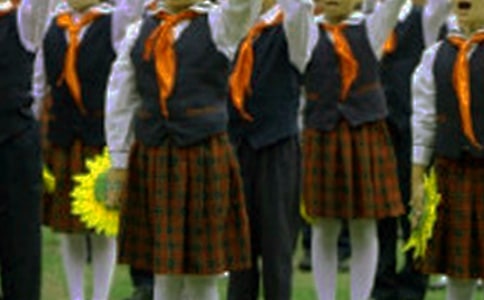 紅領巾伴我成長作文合集9篇