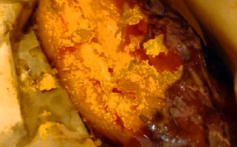 �u�t�����Ϡ�������600��