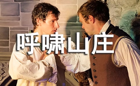 (經(jīng)典)呼嘯山莊讀后感