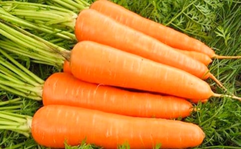 �P�ڷN���}���ă�(y��u)�����ģ�ͨ��73ƪ��