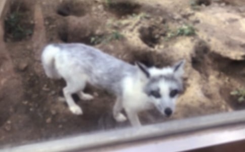 ����(y��u)���P(gu��n)�ں�؂������15ƪ