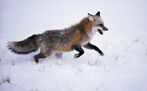 ��؂�͞��f�Ĺ�������