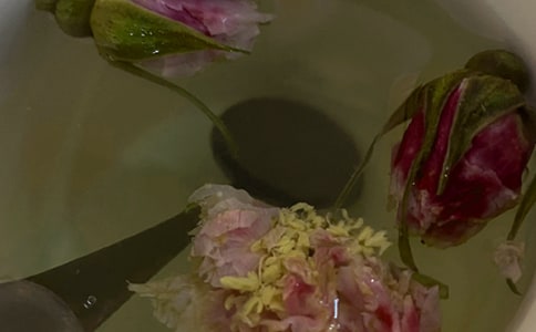 野玫瑰花茶的功效