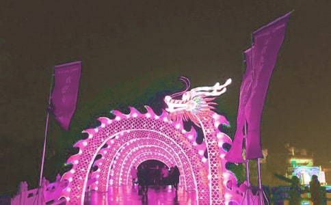 關(guān)于看花燈日記(通用33篇)