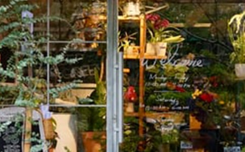 大學(xué)生花店實(shí)習(xí)總結(jié)