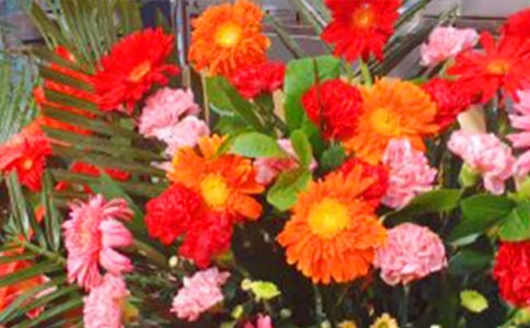 ����w����ӽ̰��������@��