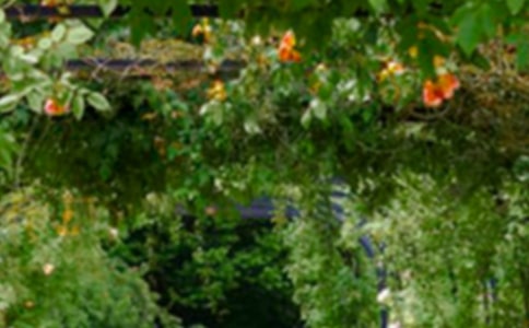 (合集)關(guān)于花園的作文15篇